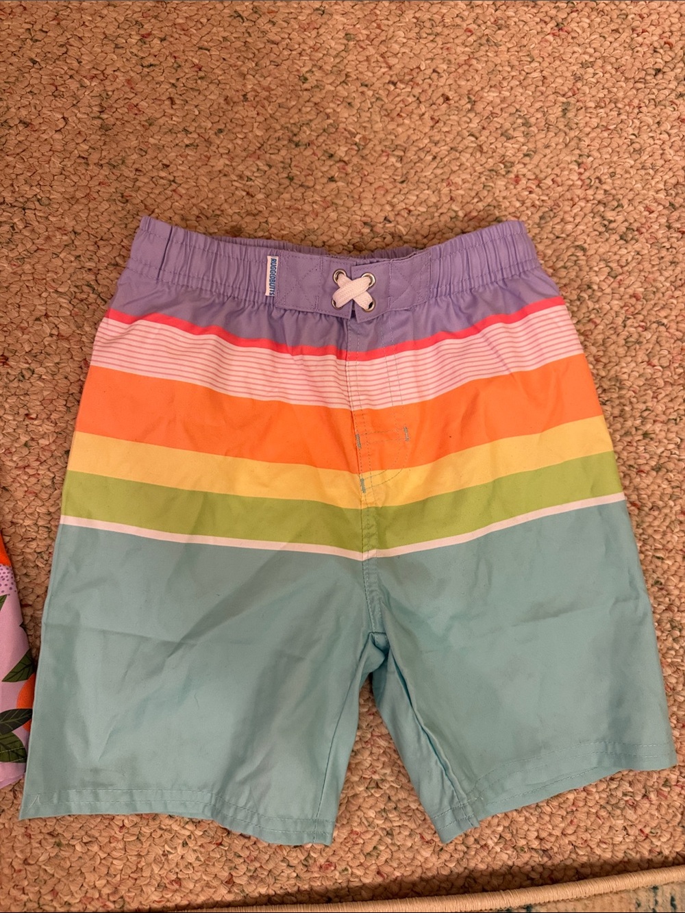 Ruffle Butts Purple, Coral, Orange, Yellow, Green & Aqua Boys Swim Trunks